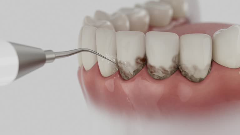 Reliable Dental contractor in Croswell, MI by Dentist Open Now